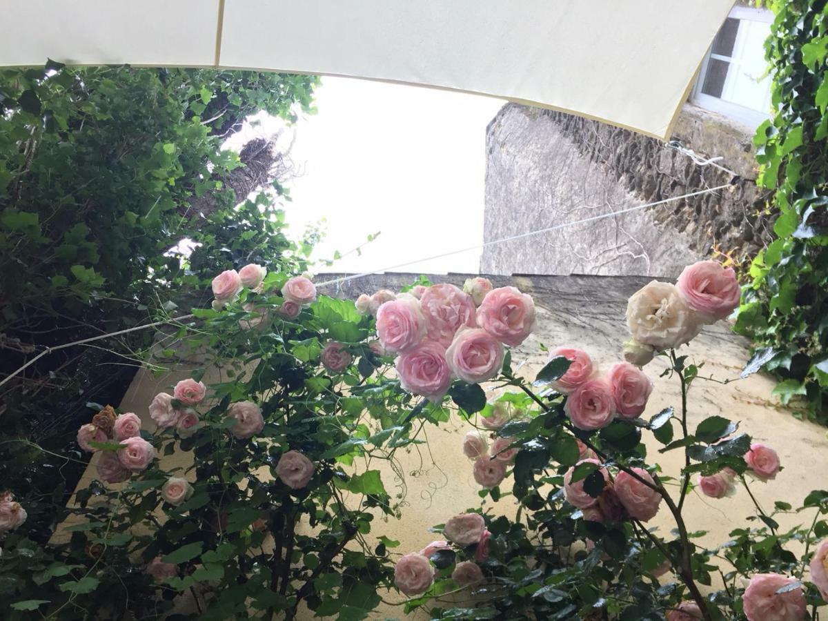 Les Aiguieres En Provence Bed and Breakfast Suze-la-Rousse Eksteriør billede